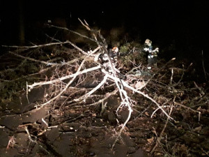 Hasiče v Olomouckém kraji zaměstnal vítr, řešili hlavně spadlé stromy