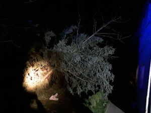 Hasiče v Olomouckém kraji zaměstnal vítr, řešili hlavně spadlé stromy