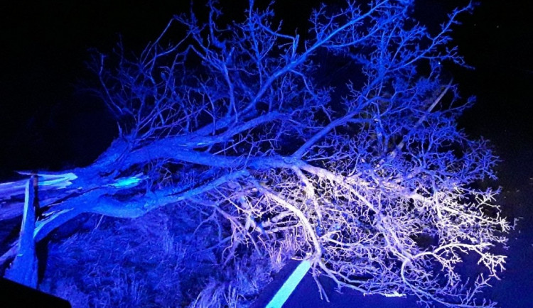 Hasiče v Olomouckém kraji zaměstnal vítr, řešili hlavně spadlé stromy-N