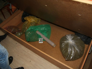 Olomoucký TOXI tým odhalil nelegální pěstírnu konopí. Muž zde měl třináct rostlin