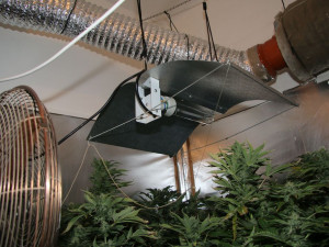 Olomoucký TOXI tým odhalil nelegální pěstírnu konopí. Muž zde měl třináct rostlin