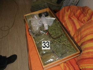 Olomoucký TOXI tým odhalil nelegální pěstírnu konopí. Muž zde měl třináct rostlin