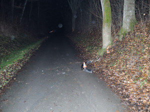 Řidič nedbal svého stavu ani stavu vozovky