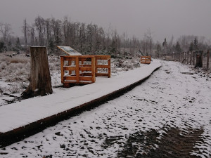 FOTO: Vojenské lesy obnovily prameniště Odry na Libavé. Vybudovaly zde naučnou stezku