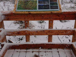 FOTO: Vojenské lesy obnovily prameniště Odry na Libavé. Vybudovaly zde naučnou stezku