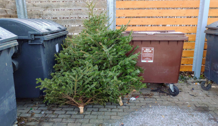 ilustrační foto - olomouc.eu