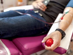 Univerzita Palackého chystá příští týden akci na dárcovství krve
