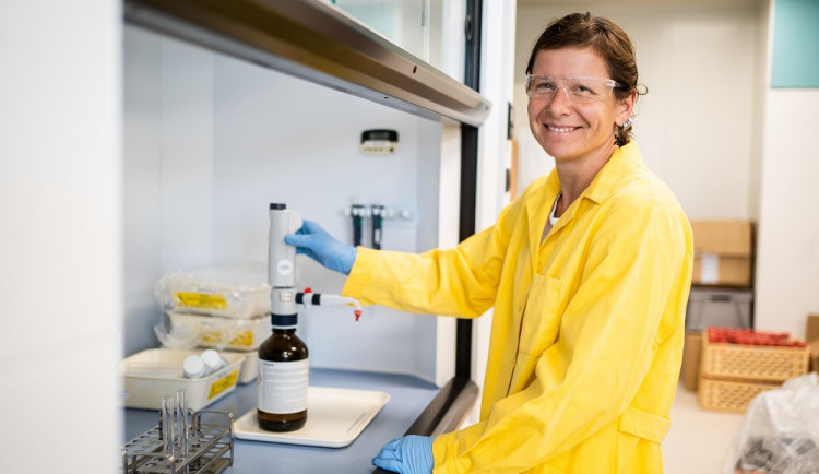 novavax cz, práce, nabídka, farmacie,