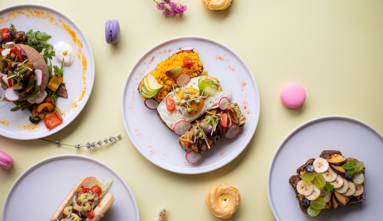 Ráno s Cajk snídaní