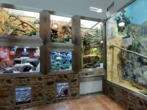 Olomoucká zoo rozšířila expozici s varany, užovkami a leguány