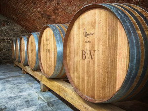 Jak se daří vinařům v krizi? Neexistuje nikdo, koho by se situace nedotkla, říká manažer úspěšného vinařství