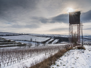 Co se skrývá za sklenkou vína aneb Kdo chce slopat, musí kopat. Vinohrad ani v zimě nespí
