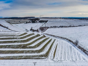 Co se skrývá za sklenkou vína aneb Kdo chce slopat, musí kopat. Vinohrad ani v zimě nespí