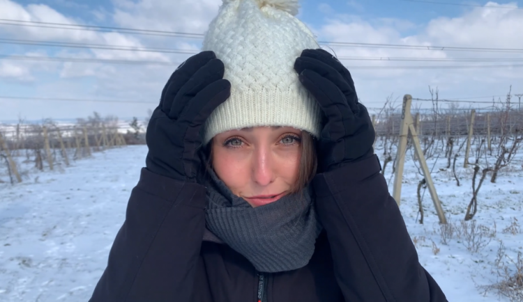 Co se skrývá za sklenkou vína aneb Kdo chce slopat, musí kopat. Vinohrad ani v zimě nespí.