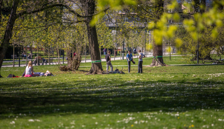 Údržba veřejné zeleně v Olomouci stojí ročně 100 milionů. Nejvíc jde na trávníky