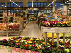 Přivítejte ve vaší zahrádce jaro s hypermarketem Globus