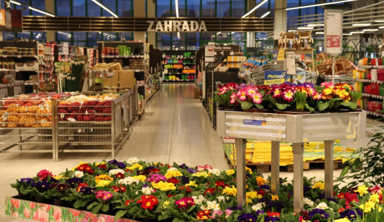 Přivítejte ve vaší zahrádce jaro s hypermarketem Globus