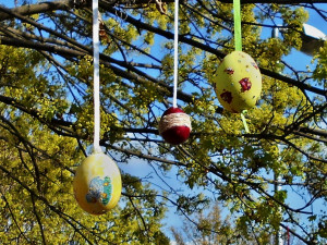 Rodiče a děti mohou jeden ze stromů v Olomouci obléct do háčkovaných ozdob