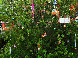 Rodiče a děti mohou jeden ze stromů v Olomouci obléct do háčkovaných ozdob