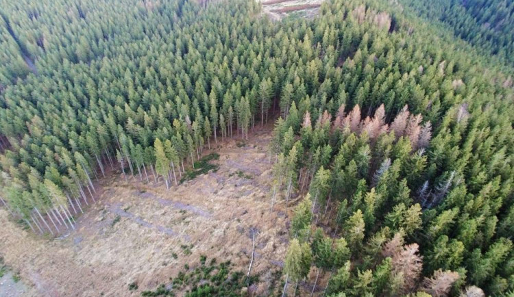 size3-16007614935185-124-politicka-korida-kurovcova-krize-v-jesenicich-jak-ji-resit-zeptali-jsme-se-kandidatu-do-voleb