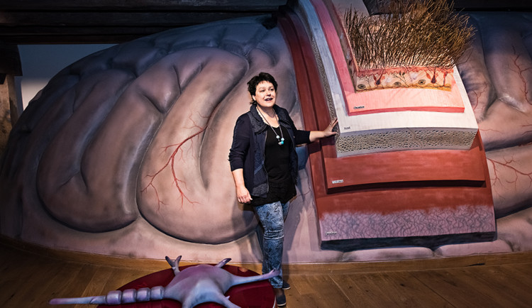 _92_homepage_prednaska-s-praktickymi-ukazkami_1613649083xdthJ