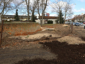 Olomoucká radnice připravuje revitalizaci parku. Začala kácet náletové dřeviny