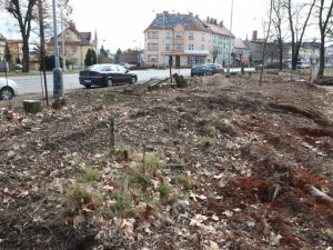 Olomoucká radnice připravuje revitalizaci parku. Začala kácet náletové dřeviny