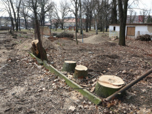 Olomoucká radnice připravuje revitalizaci parku. Začala kácet náletové dřeviny