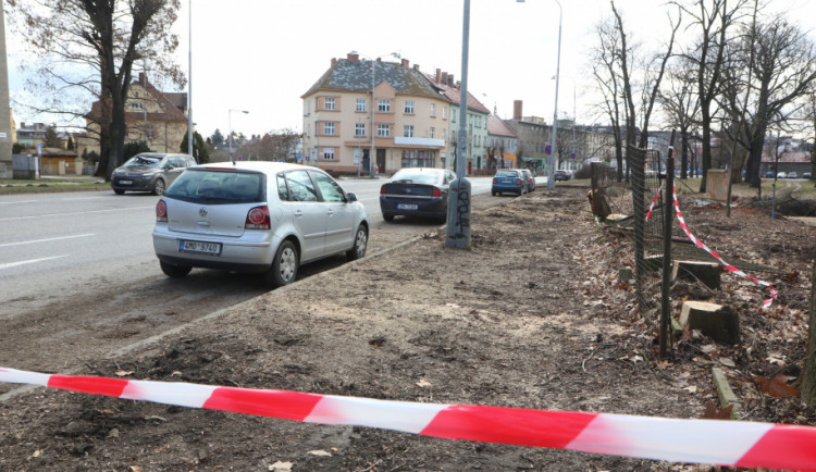 Olomoucká radnice připravuje revitalizaci parku. Začala kácet náletové dřeviny