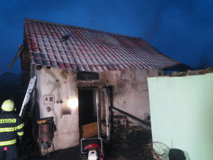 Krokodýl nilský zůstává v Klopině na Šumpersku. Chovatel zlepší podmínky