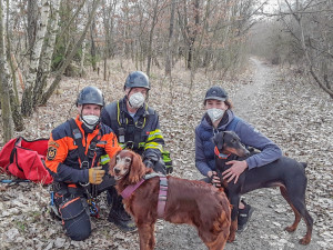 V lomu ve Výklekách hasiči zachraňovali psa, který sklouzl do strže
