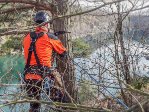 V lomu ve Výklekách hasiči zachraňovali psa, který sklouzl do strže