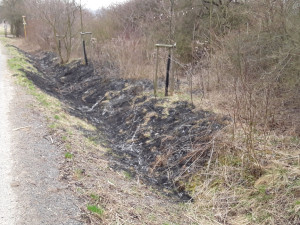 Hasiči doporučují pálení klestí na zahradě předem nahlásit