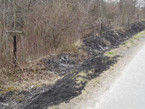 Hasiči doporučují pálení klestí na zahradě předem nahlásit