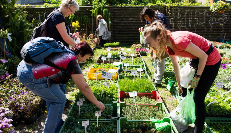 Olomoucké Výstaviště Flora začne pořádat selské a zahradnické trhy