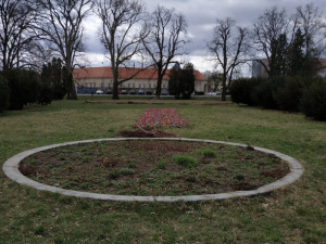 Pestrobarevné květiny na jaře ozdobí několik nových míst v Olomouci