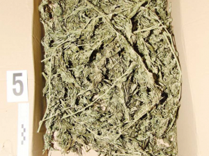 Policie našla v bytě v Hranicích krabice se třemi kilogramy marihuany