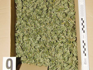 Policie našla v bytě v Hranicích krabice se třemi kilogramy marihuany