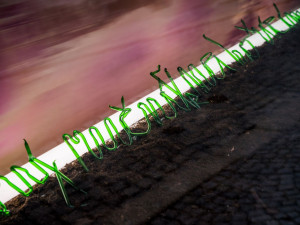 Unikátní projekt představuje umělecká díla přímo v ulicích Olomouce