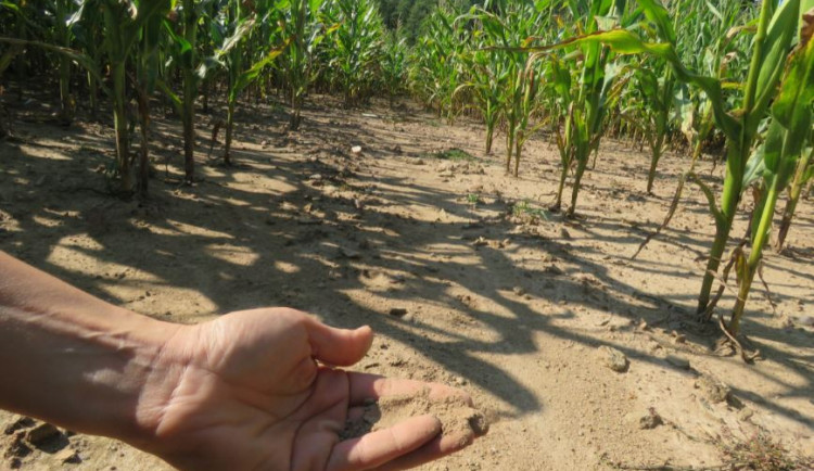 Broumovsko chce bojovat s klimatickými změnami