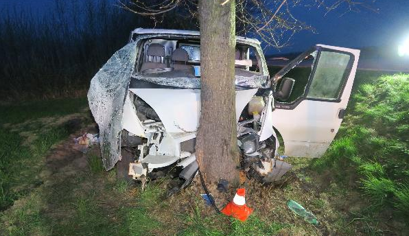 Řidič u Doudleb čelně narazil do stromu, na místě zasahoval i vrtulník