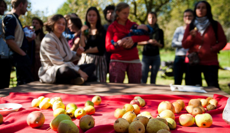 size3-16197159322146-139-rozkvetlou-tresen-na-prvomajovy-polibek-najdete-s-mapou-na-ovoce
