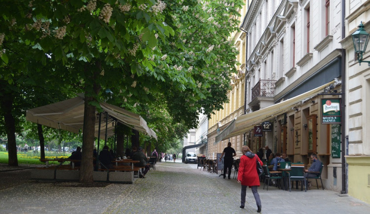 Kontrola testování a očkování na zahrádkách nebude proveditelná, říká restauratér