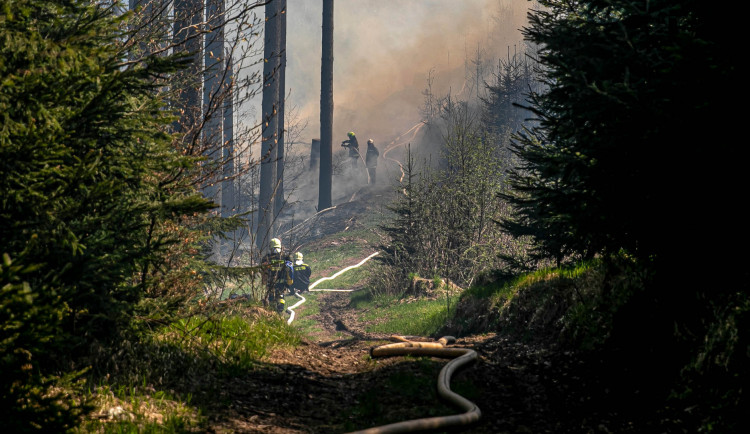 Požár u Sněžného likvidovalo 20 jednotek hasičů, pomáhali i kolegové z Polska