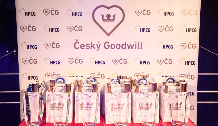 2021_05_17_TZ - Cesky-Goodwill-2021-nominace-vrcholi