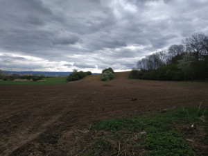 Zanedbaná lokalita ve Slavoníně se možná promění na rekreační oblast