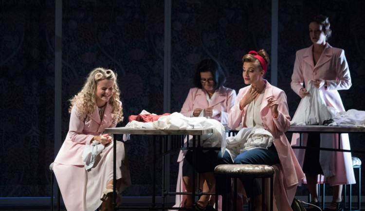 size4-15367609642021-124-mordiv