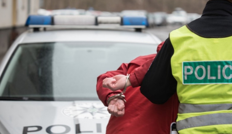 Opilý muž vyhrožoval výbuchem na letišti Václava Havla. Při zadržení hajloval