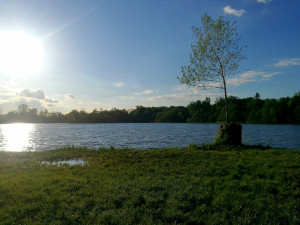 ! Nepojmenováno - 18:10:53 30.5.2021