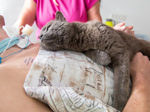 Studenti a učitelé gymnázia vybrali ve sbírce 35 tisíc pro Fakultní nemocnici